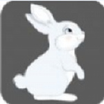 兔妹直播免费版