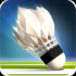 羽毛球高高手国际版