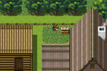 修女和光无法触及的森林真结局触发攻略