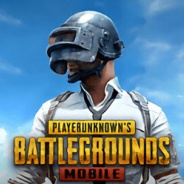 绝地求生国际服中文版