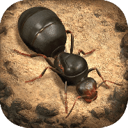 小小蚁国正式服