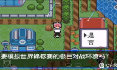 口袋妖怪究极绿宝石5.5世界锦标赛速刷PP提升剂攻略0