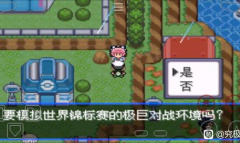 口袋妖怪究极绿宝石5.5世界锦标赛速刷PP提升剂攻略