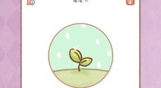 免费桌面小组件APP