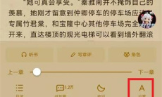 《起点读书》设置拼音字体方法2