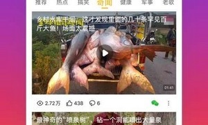 类似么么视频交友的APP