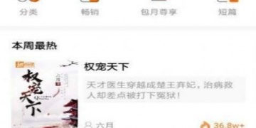 像书迷追书这样的APP