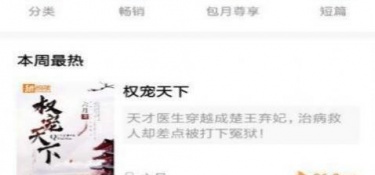 像书迷追书这样的APP