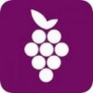 葡萄视频无限免费观看版