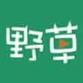野草影院免费会员版
