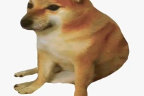 Cheems梗的来源是什么