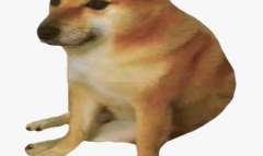 Cheems梗的来源是什么