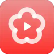 梅花视频3.1.0版本