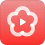 梅花视频3.1.0版本