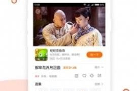跟极影影院同款的APP