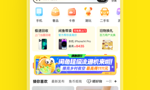 使用流畅的闲置换钱APP