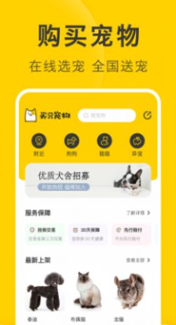猫咪对话翻译器APP