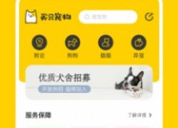 猫咪对话翻译器APP