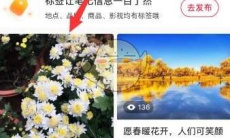《小红书》查看笔记数据方法2