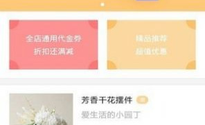 跟看了么短视频同款的APP