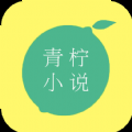 青柠小说绿色版