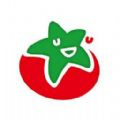 番茄2023免费版