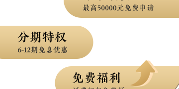 抢消费券的APP