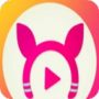米奇影音旧版