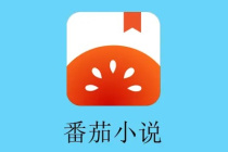 《番茄小说》听书方法