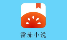 《番茄小说》听书方法0