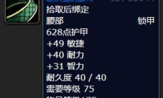 《魔兽怀旧服》谢沃兹装备掉落2