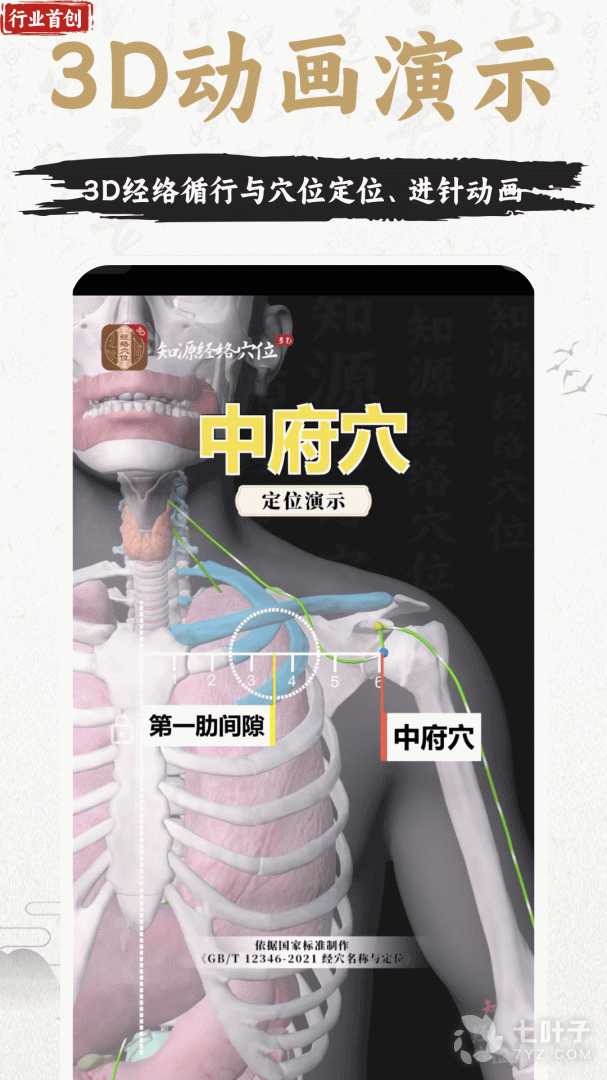 中济经络穴位1