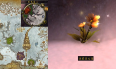 魔兽世界怀旧服wlk达莉亚之泪任务怎么完成2