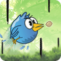 小鸟冲锋免费版