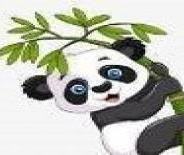 熊猫漫画完整版