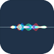 信息霍乱时期的爱情