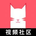 猫咪成品人短视频