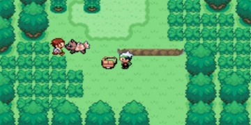 口袋妖怪永恒之沫手游