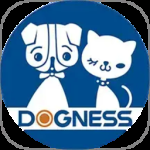 多尼斯最新版