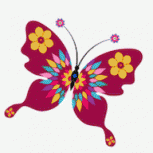 花蝴蝶直播免费版