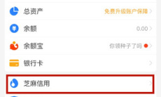 《支付宝》芝麻粒转送方法1