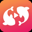 锦鲤影视高清版