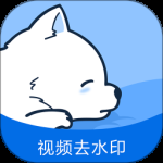 视频去水印专家2024版
