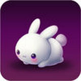 玉兔直播电视版