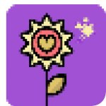 星花秀直播老版