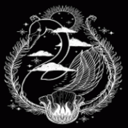 天鹅影视中文版