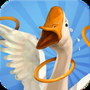 我用圈圈搂大鹅免广告版