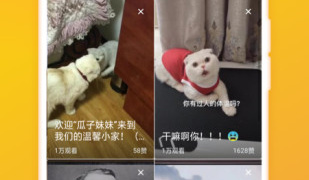 类似蜜糖聊天的APP