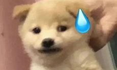 你没事吧梗含义2