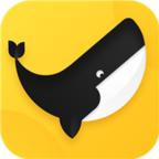 超凡影迷电视版